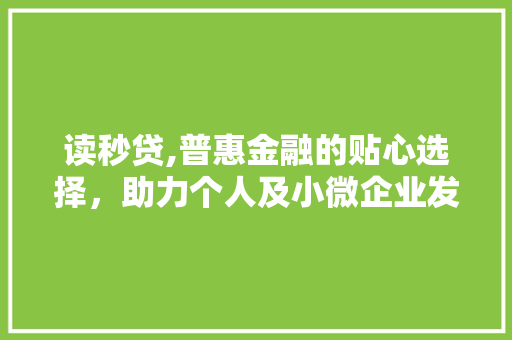 读秒贷,普惠金融的贴心选择，助力个人及小微企业发展