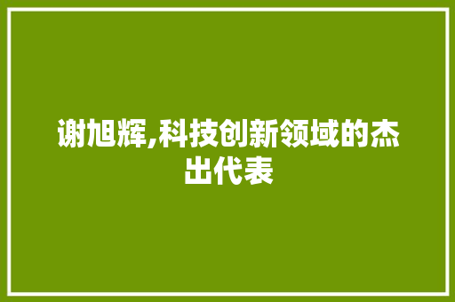 谢旭辉,科技创新领域的杰出代表