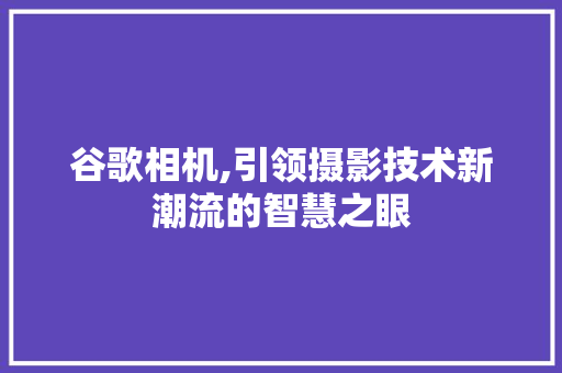 谷歌相机,引领摄影技术新潮流的智慧之眼