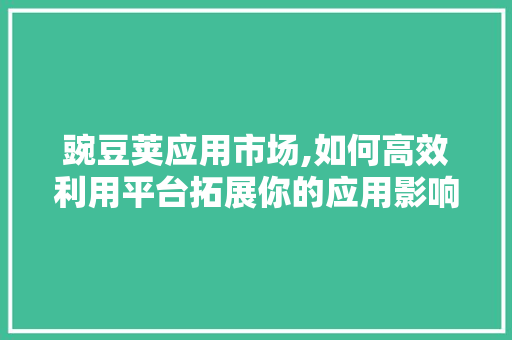 豌豆荚应用市场,如何高效利用平台拓展你的应用影响力