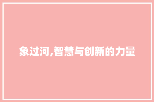 象过河,智慧与创新的力量