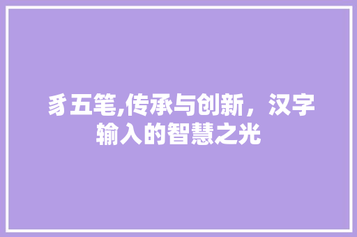豸五笔,传承与创新，汉字输入的智慧之光