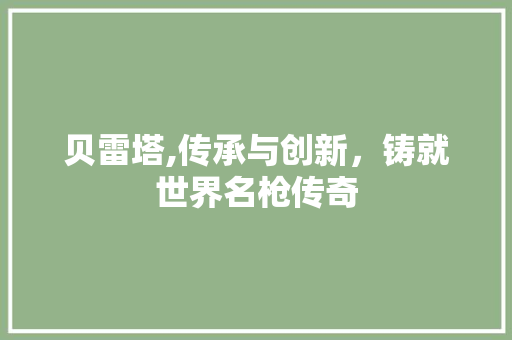 贝雷塔,传承与创新，铸就世界名枪传奇