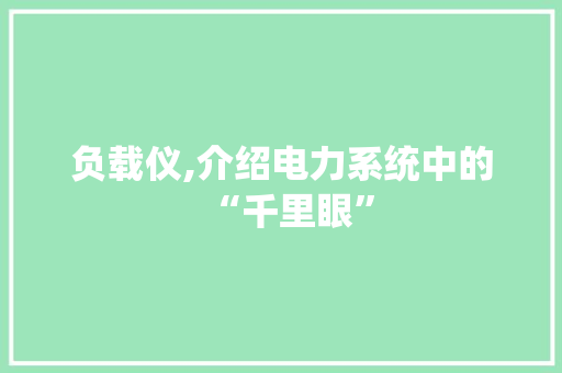负载仪,介绍电力系统中的“千里眼”