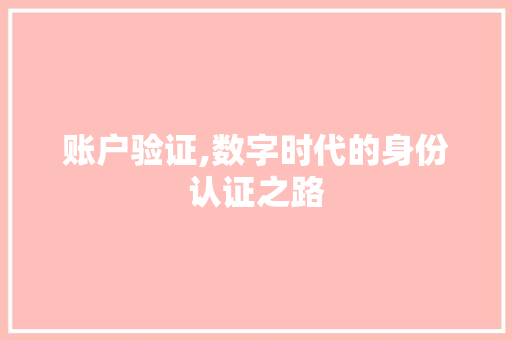 账户验证,数字时代的身份认证之路