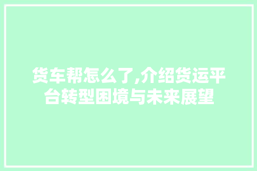 货车帮怎么了,介绍货运平台转型困境与未来展望 SEO教程