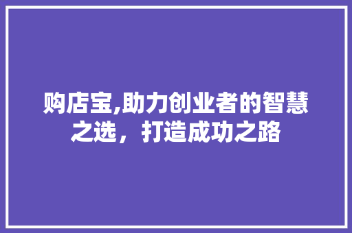 购店宝,助力创业者的智慧之选，打造成功之路