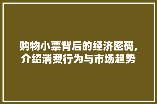 购物小票背后的经济密码,介绍消费行为与市场趋势 SEO教程