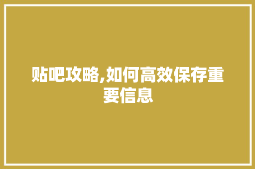贴吧攻略,如何高效保存重要信息