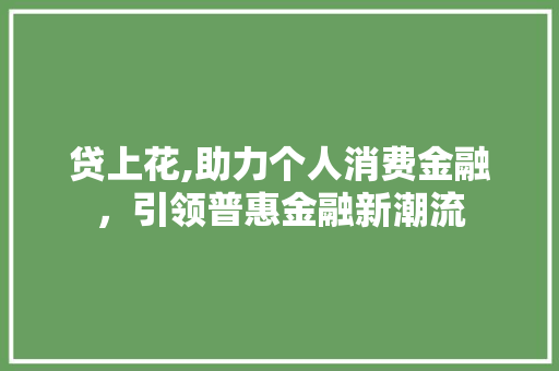 贷上花,助力个人消费金融，引领普惠金融新潮流