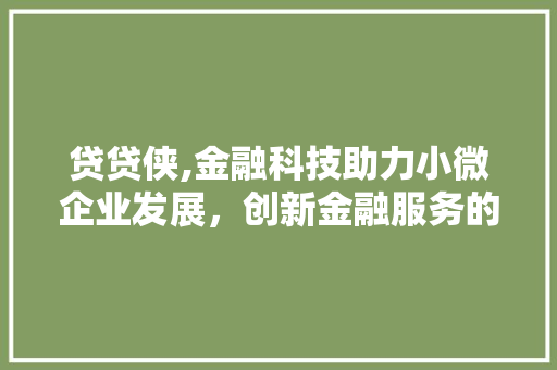 贷贷侠,金融科技助力小微企业发展，创新金融服务的典范