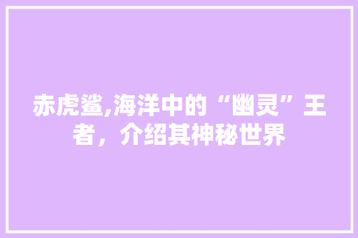 赤虎鲨,海洋中的“幽灵”王者，介绍其神秘世界