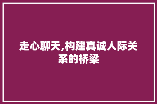 走心聊天,构建真诚人际关系的桥梁