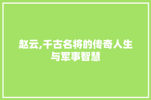 赵云,千古名将的传奇人生与军事智慧 WordPress教程