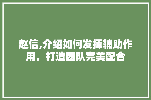 赵信,介绍如何发挥辅助作用，打造团队完美配合
