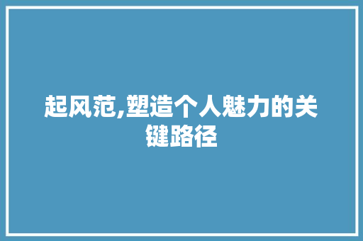 起风范,塑造个人魅力的关键路径 WordPress教程