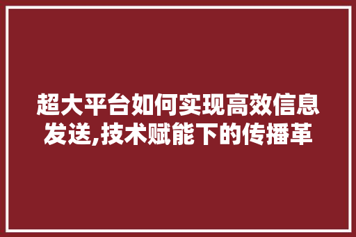 超大平台如何实现高效信息发送,技术赋能下的传播革命 服务器/数据库