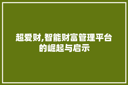 超爱财,智能财富管理平台的崛起与启示