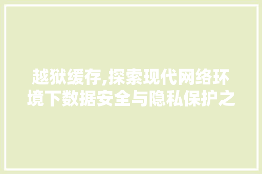越狱缓存,探索现代网络环境下数据安全与隐私保护之路