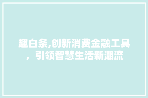 趣白条,创新消费金融工具，引领智慧生活新潮流