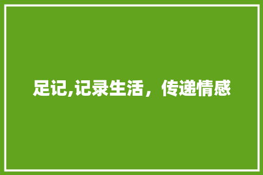 足记,记录生活，传递情感