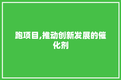 跑项目,推动创新发展的催化剂