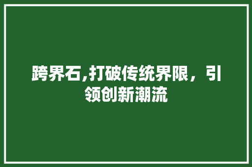 跨界石,打破传统界限，引领创新潮流 WordPress教程