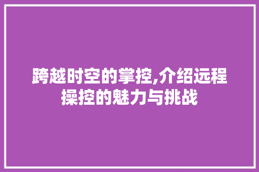 跨越时空的掌控,介绍远程操控的魅力与挑战 服务器/数据库