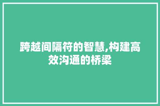 跨越间隔符的智慧,构建高效沟通的桥梁 建站教程
