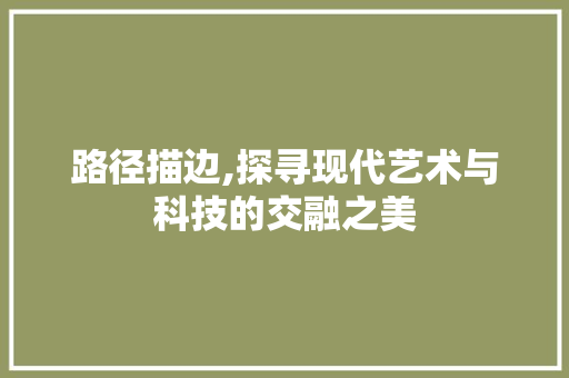 路径描边,探寻现代艺术与科技的交融之美 服务器/数据库