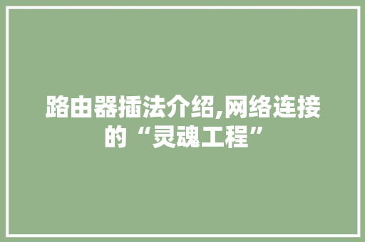 路由器插法介绍,网络连接的“灵魂工程” 建站教程