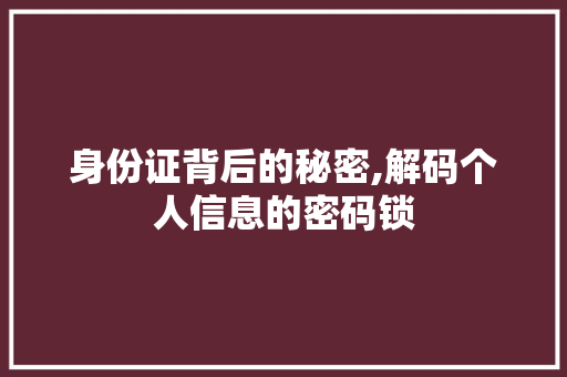 身份证背后的秘密,解码个人信息的密码锁 WordPress教程