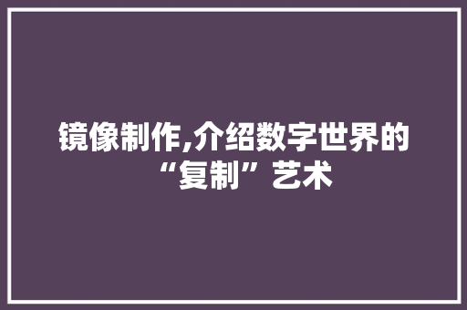 镜像制作,介绍数字世界的“复制”艺术