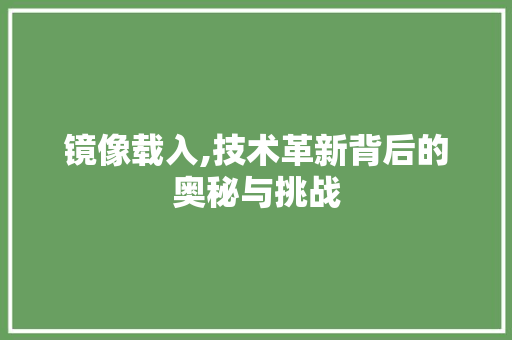 镜像载入,技术革新背后的奥秘与挑战 建站教程