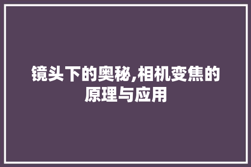 镜头下的奥秘,相机变焦的原理与应用