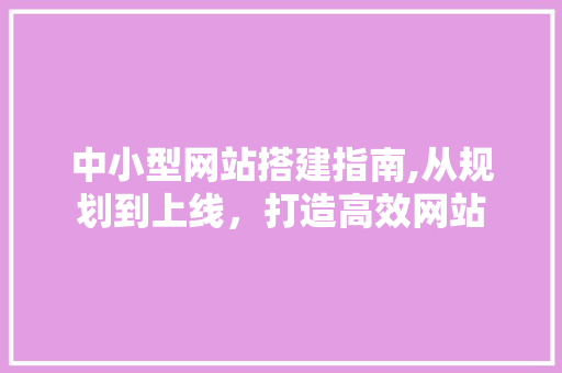 中小型网站搭建指南,从规划到上线，打造高效网站