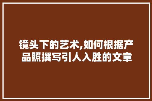 镜头下的艺术,如何根据产品照撰写引人入胜的文章
