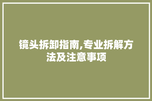 镜头拆卸指南,专业拆解方法及注意事项