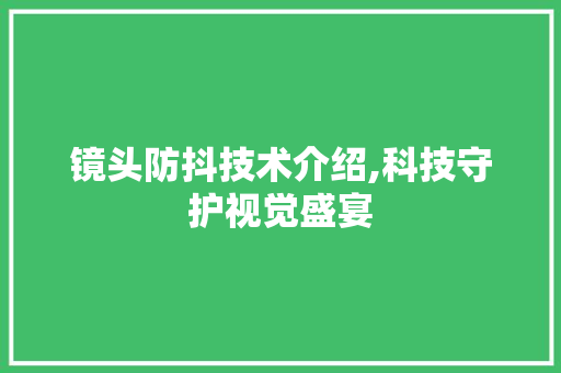 镜头防抖技术介绍,科技守护视觉盛宴