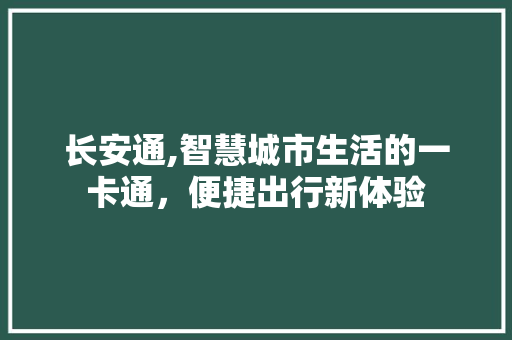 长安通,智慧城市生活的一卡通，便捷出行新体验