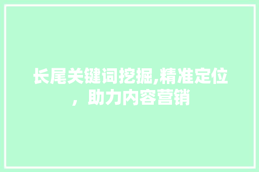 长尾关键词挖掘,精准定位，助力内容营销