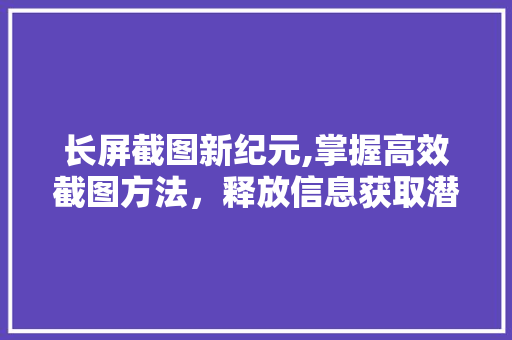 长屏截图新纪元,掌握高效截图方法，释放信息获取潜能 服务器/数据库