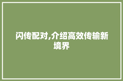 闪传配对,介绍高效传输新境界