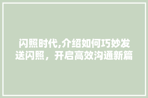 闪照时代,介绍如何巧妙发送闪照，开启高效沟通新篇章 SEO教程