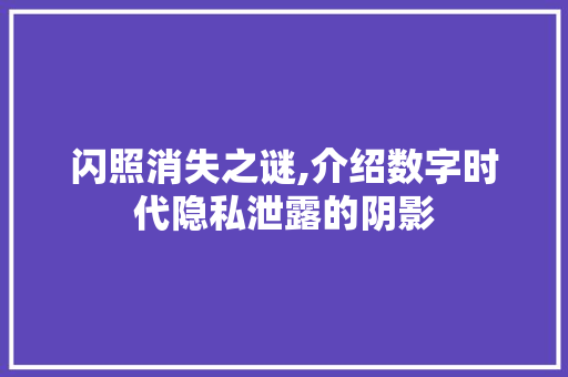 闪照消失之谜,介绍数字时代隐私泄露的阴影