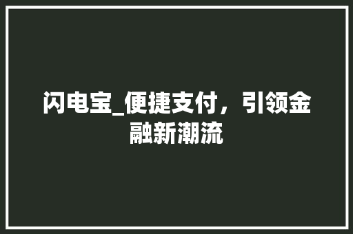 闪电宝_便捷支付，引领金融新潮流 友链在线