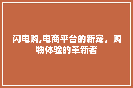 闪电购,电商平台的新宠，购物体验的革新者