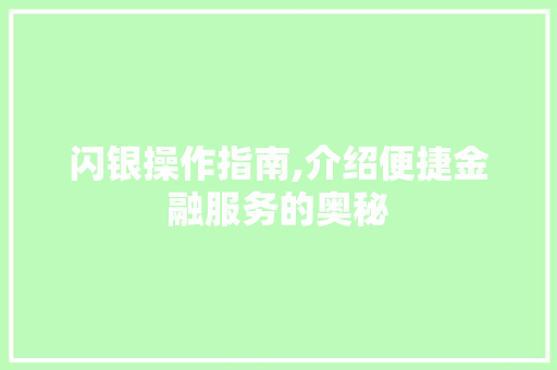 闪银操作指南,介绍便捷金融服务的奥秘 建站教程