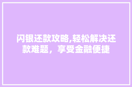闪银还款攻略,轻松解决还款难题，享受金融便捷 Web前端