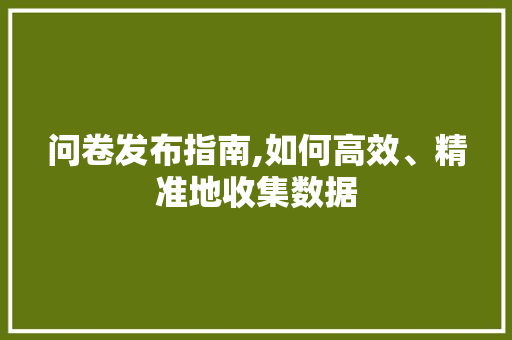 问卷发布指南,如何高效、精准地收集数据